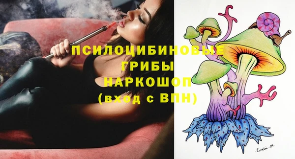 твердый Армянск