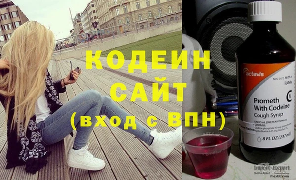гашик Арсеньев