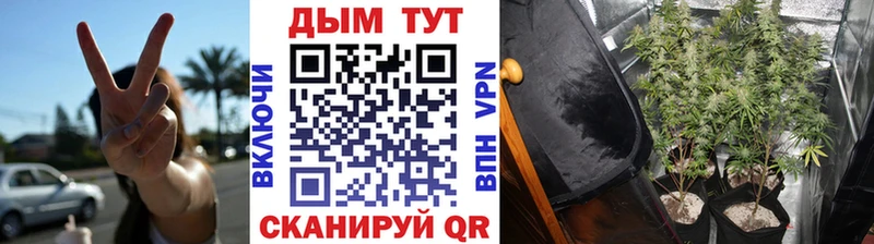 что такое наркотик  Очёр  Каннабис конопля 